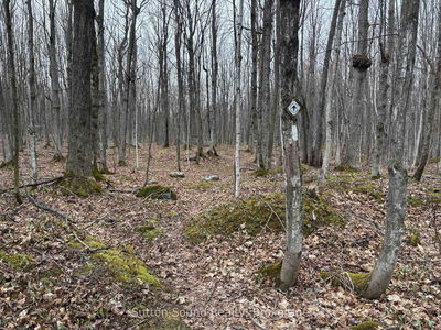 PT LT 9 CON 14 EBR PT 26 Concession, Northern Bruce Peninsula - Northern Bruce Peninsula image-0-3