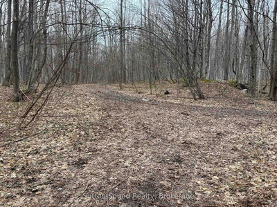 PT LT 9 CON 14 EBR PT 26 Concession, Northern Bruce Peninsula - Northern Bruce Peninsula image-0-4