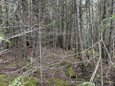 PT LT 1 CON 3 WBR (FIFTHLY) Concession, Northern Bruce Peninsula - Northern Bruce Peninsula image-0-4
