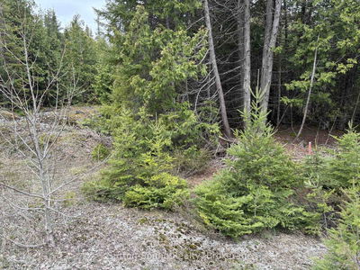 PT LT 1 CON 3 WBR (FOURTHLY) Concession, Northern Bruce Peninsula - Northern Bruce Peninsula image-0-3