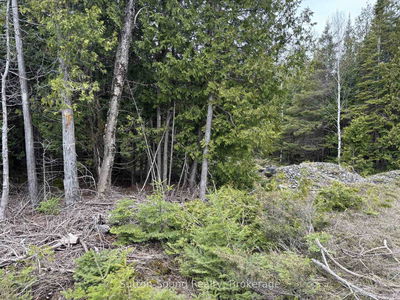 PT LT 1 CON 3 WBR (FOURTHLY) Concession, Northern Bruce Peninsula - Northern Bruce Peninsula image-0-4