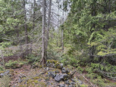 PT LT 1 CON 3 WBR (THIRDLY) Concession, Northern Bruce Peninsula - Northern Bruce Peninsula image-0-3