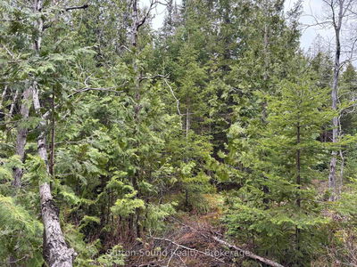 PT LT 1 CON 3 WBR (THIRDLY) Concession, Northern Bruce Peninsula - Northern Bruce Peninsula image-0-4