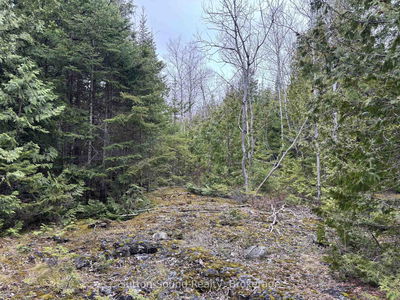 PT LT 1 CON 3 WBR (SECONDLY) Concession, Northern Bruce Peninsula - Northern Bruce Peninsula image-0-3