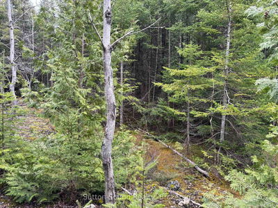 PT LT 1 CON 3 WBR (SECONDLY) Concession, Northern Bruce Peninsula - Northern Bruce Peninsula image-0-4
