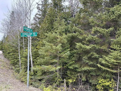 PT LT35 CON 3 WBR PT 77 Concession, Northern Bruce Peninsula - Northern Bruce Peninsula image-0-4