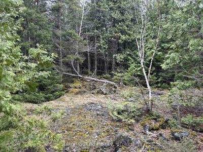 PT LT 1 CON 3 WBR (Rd Allow) Rd, Northern Bruce Peninsula - Northern Bruce Peninsula image-0-4