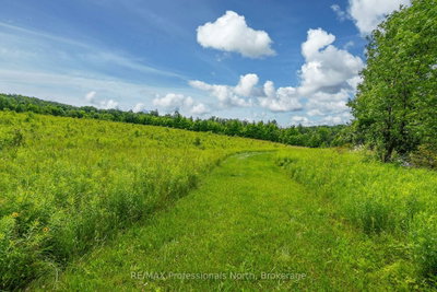 817 Schutt Road — photo 5