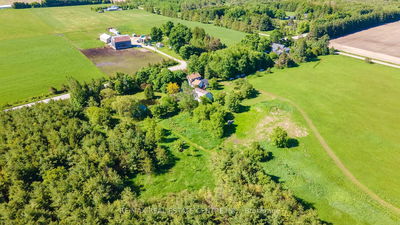 384323 20 Sdrd, Amaranth - Rural Amaranth image-0-3