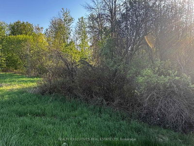 4396(B) Carman Rd, South Dundas - South Dundas (Matilda) Twp image-0-2