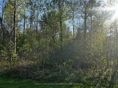 4396(B) Carman Rd, South Dundas - South Dundas (Matilda) Twp image-0-3