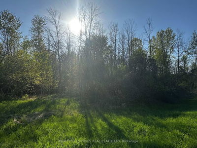 4396(B) Carman Rd, South Dundas - South Dundas (Matilda) Twp image-0-4