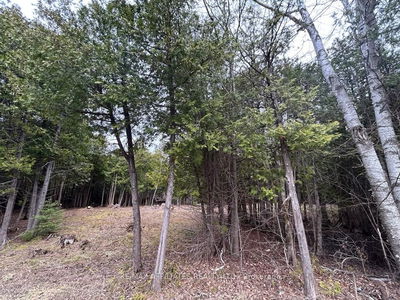 00 Snowdons Corners Rd, Merrickville-Wolford - Merrickville/Wolford Twp