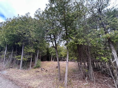 00 Snowdons Corners Rd, Merrickville-Wolford - Merrickville/Wolford Twp image-0-1