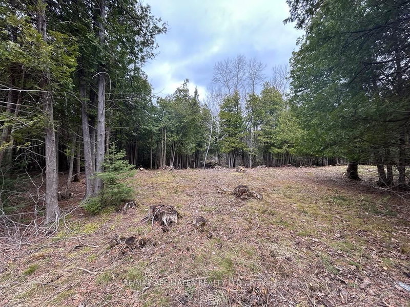 00 Snowdons Corners Rd, Merrickville-Wolford, K0G 1N0 | Image 3