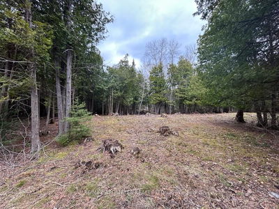 00 Snowdons Corners Rd, Merrickville-Wolford - Merrickville/Wolford Twp image-0-2