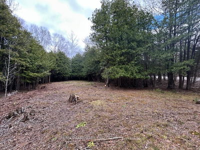 00 Snowdons Corners Rd, Merrickville-Wolford - Merrickville/Wolford Twp image-0-3