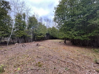 00 Snowdons Corners Rd, Merrickville-Wolford - Merrickville/Wolford Twp image-0-4
