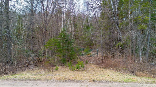 1160 Chetwynd Road