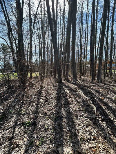  Poplar Dr, Hamilton Township - Bewdley image-0-1
