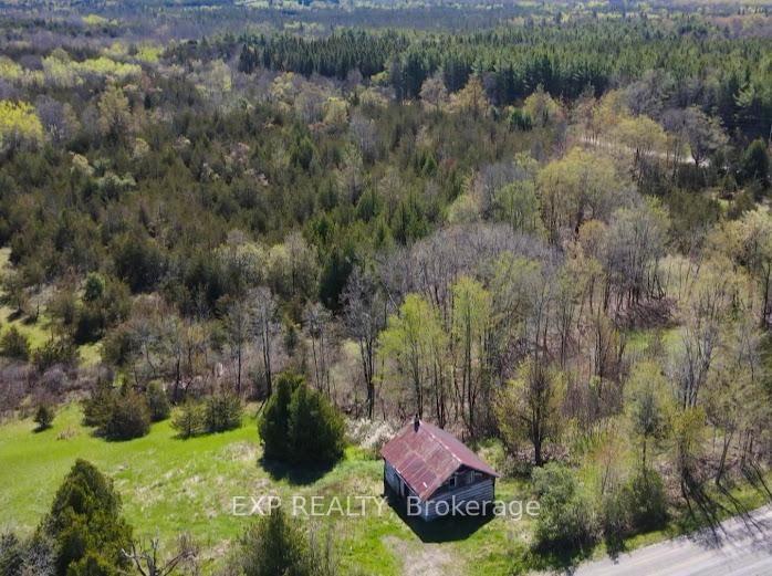 01 PHILLIPS Rd, Shannonville - Tyendinaga Township image-0-0