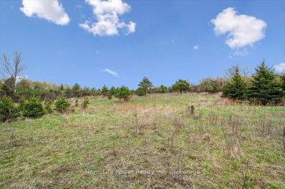  Pioneer Tr, Puslinch - Rural Puslinch West image-0-4