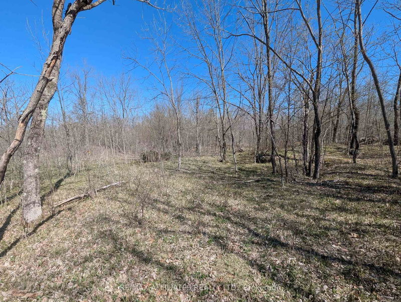  LITTLE CROSBY LAKE Rd, Rideau Lakes - Rideau Lakes (North Crosby) Twp image-0-0