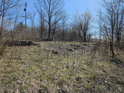  LITTLE CROSBY LAKE Rd, Rideau Lakes - Rideau Lakes (North Crosby) Twp image-0-1