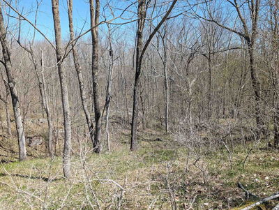 LITTLE CROSBY LAKE Rd, Rideau Lakes - Rideau Lakes (North Crosby) Twp image-0-2