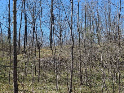  LITTLE CROSBY LAKE Rd, Rideau Lakes - Rideau Lakes (North Crosby) Twp image-0-3
