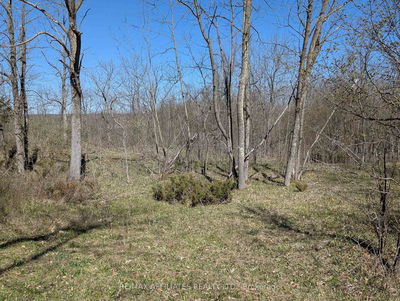  LITTLE CROSBY LAKE Rd, Rideau Lakes - Rideau Lakes (North Crosby) Twp image-0-4