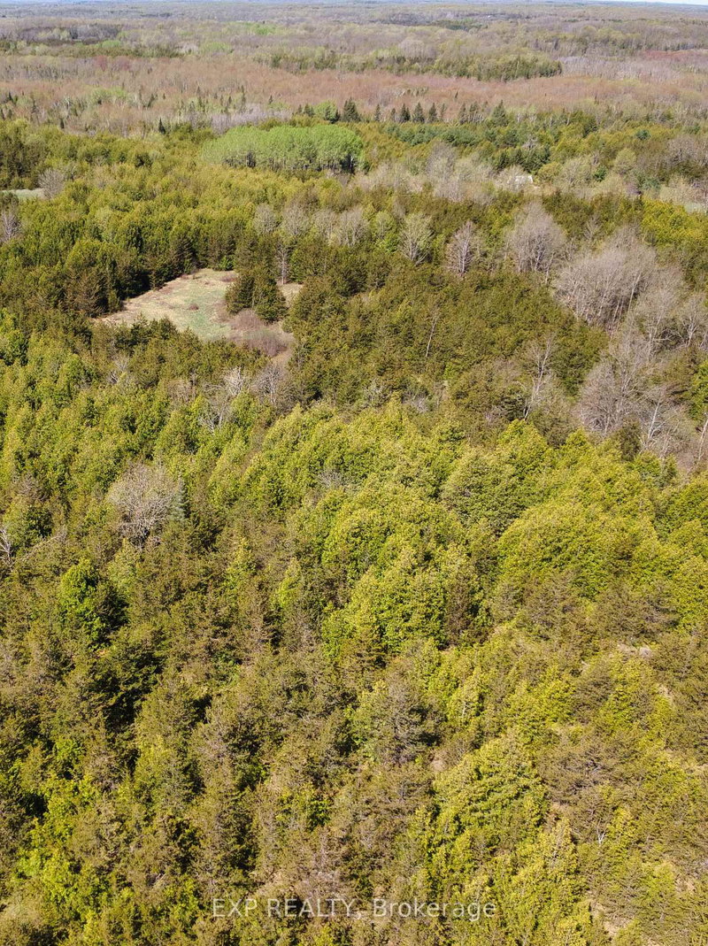 03 PHILLIPS Rd, Shannonville, K0K 3A0 | Image 3