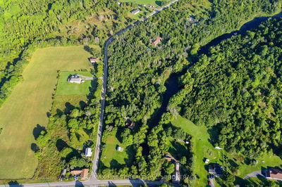 00 MILLER St, Kaladar - Stone Mills image-0-1