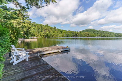 2401 BEAR LAKE Rd, Algonquin Highlands - Livingstone image-0-3