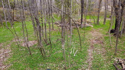 PL21 Pine Glen Rd, Rideau Lakes - Rideau Lakes (South Crosby) Twp image-0-2