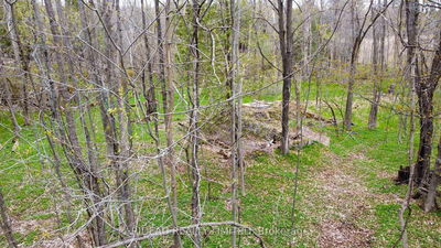 PL21 Pine Glen Rd, Rideau Lakes - Rideau Lakes (South Crosby) Twp image-0-3