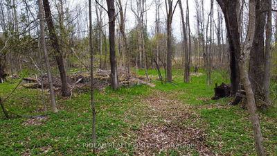 PL21 Pine Glen Rd, Rideau Lakes - Rideau Lakes (South Crosby) Twp image-0-4
