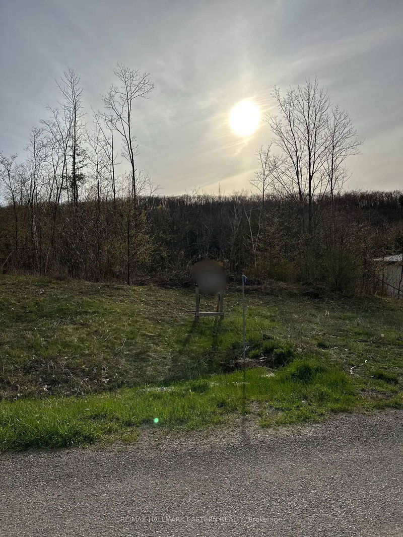62 Trent View Dr, Trent Hills - Hastings image-0-0