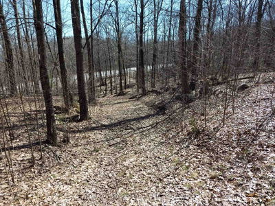 1023 Little Hawk Lake Rd, Algonquin Highlands - Stanhope