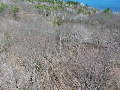 1023 Little Hawk Lake Rd, Algonquin Highlands - Stanhope image-0-2