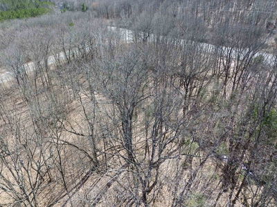 1023 Little Hawk Lake Rd, Algonquin Highlands - Stanhope image-0-4