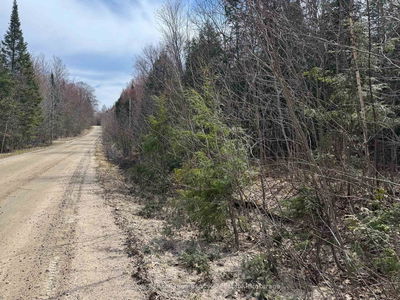  Stoney Rd, Ryerson - Ryerson