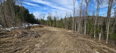30 Ridge Rd, Bancroft - Bancroft Ward image-0-1
