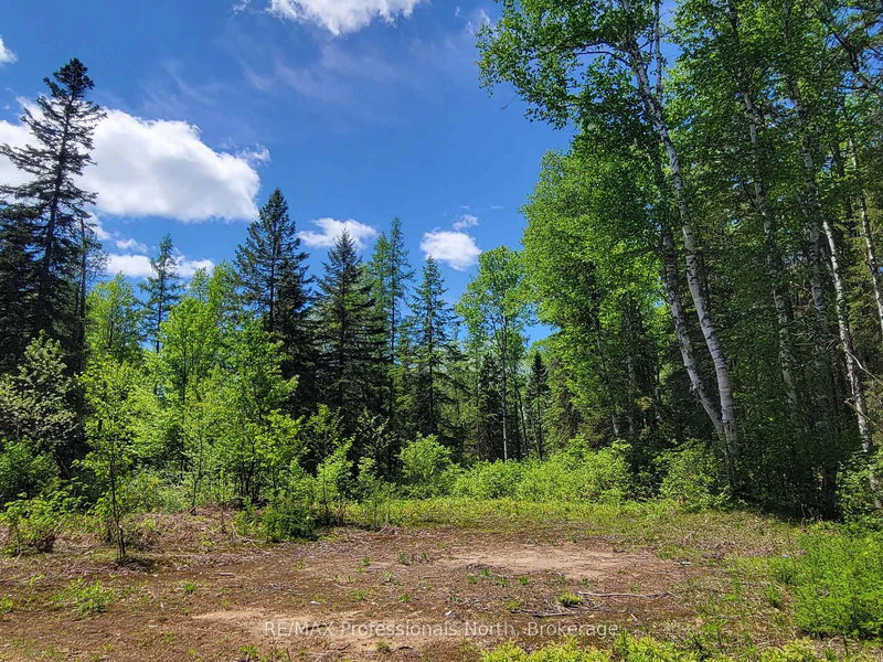 0 Dufferin St, South River, P0A 1X0 | Image 3