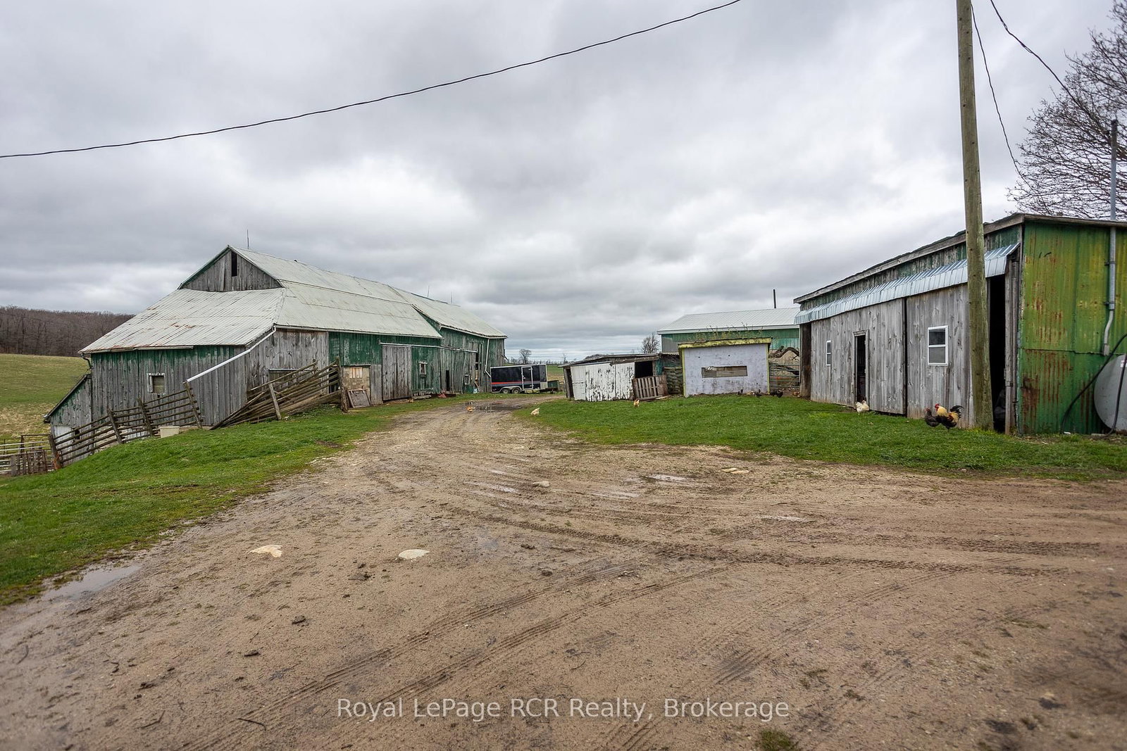 Listing Image 37