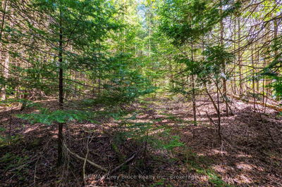 Unit 6 Stokes Bay Rd, Northern Bruce Peninsula - Northern Bruce Peninsula image-0-2