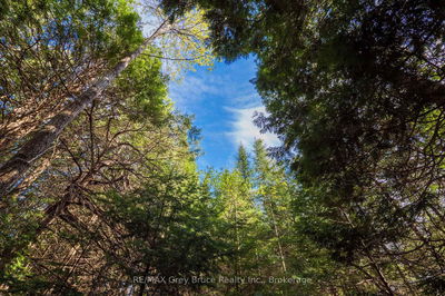 Unit 6 Stokes Bay Rd, Northern Bruce Peninsula - Northern Bruce Peninsula image-0-4