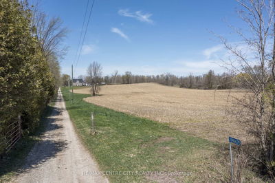 846635 Township 9 Rd, Blandford-Blenheim - Rural Blandford-Blenheim image-0-4