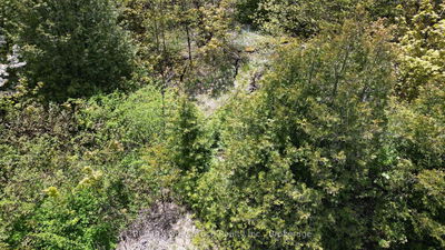 PT LT 30 CON 5 Isthmus Bay Rd, Northern Bruce Peninsula - Northern Bruce Peninsula image-0-3