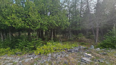 LT 254 Dorcas Bay Rd, Northern Bruce Peninsula - Northern Bruce Peninsula image-0-3